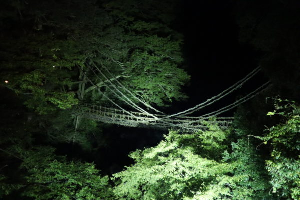 闇夜の中に照らされたかずら橋は インディアナ ジョーンズに出てきそうでした 四国の夜景