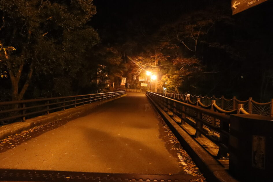 祖谷のかずら橋 紅葉シーズンには少し早かったかも知れませんが新しい発見がありました 四国の夜景