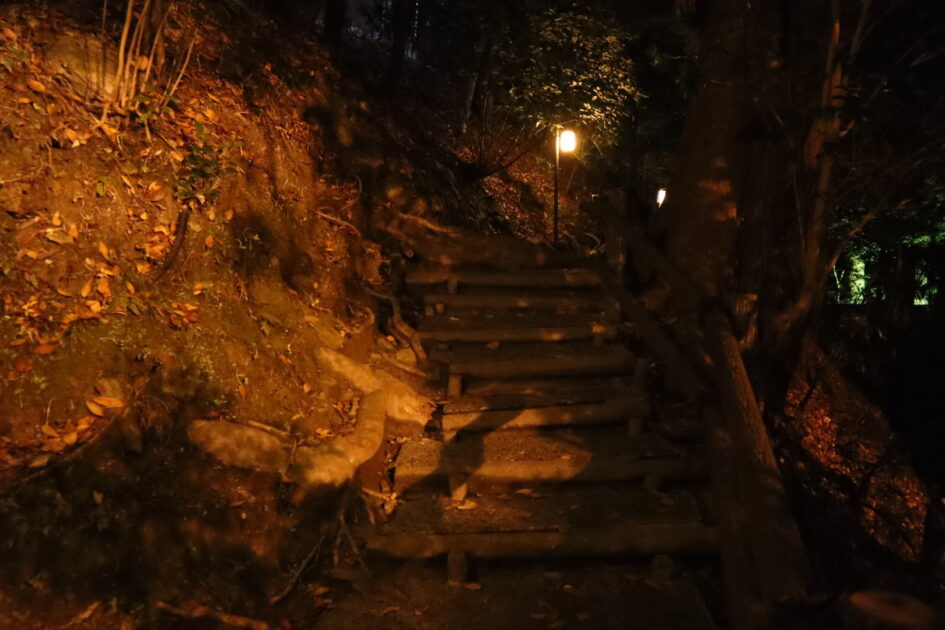 祖谷のかずら橋 紅葉シーズンには少し早かったかも知れませんが新しい発見がありました 四国の夜景