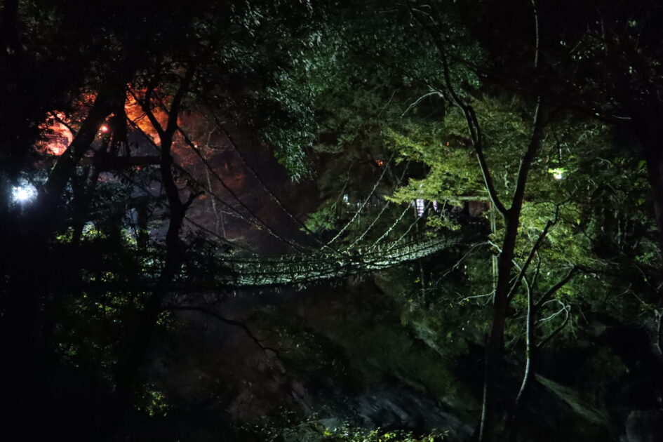 祖谷のかずら橋 紅葉シーズンには少し早かったかも知れませんが新しい発見がありました 四国の夜景
