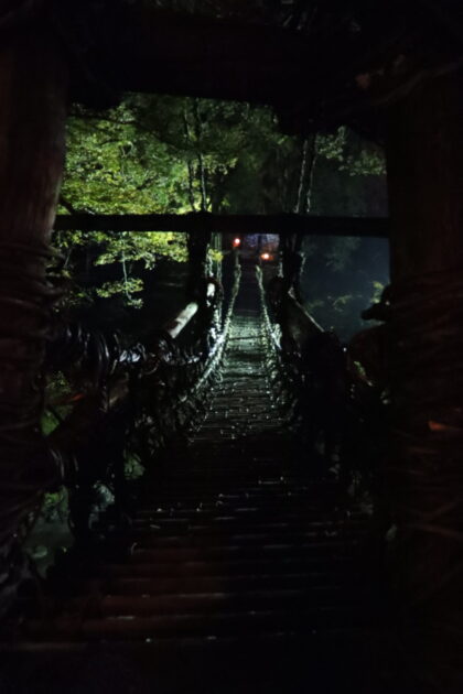 祖谷のかずら橋 紅葉シーズンには少し早かったかも知れませんが新しい発見がありました 四国の夜景
