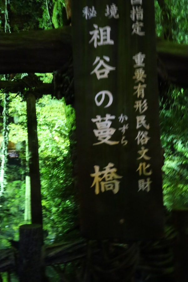 祖谷のかずら橋2020