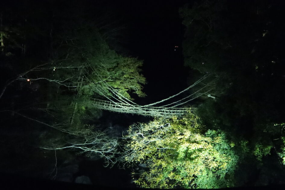 祖谷のかずら橋 紅葉シーズンには少し早かったかも知れませんが新しい発見がありました 四国の夜景