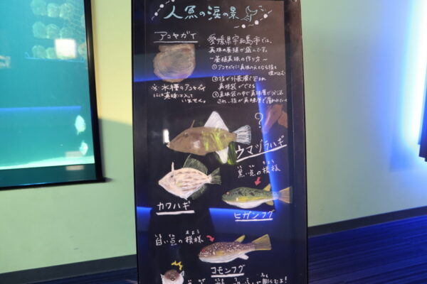 【香川】四国水族館