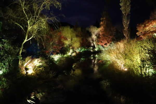 北川村「モネの庭」水の庭