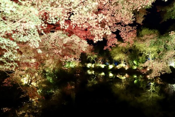 北川村「モネの庭」水の庭