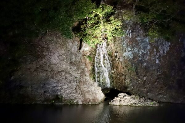 【香川】栗林公園ライトアップ　桶樋滝（おけどいのたき）