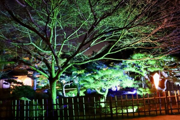【香川】栗林公園ライトアップ「旧日暮亭」