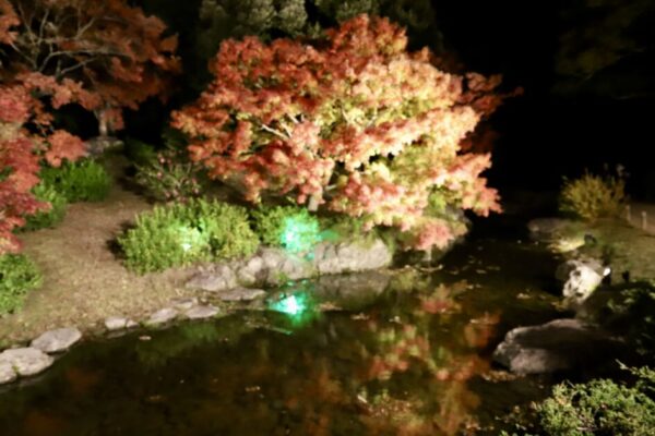 【香川】栗林公園ライトアップ　枕流亭