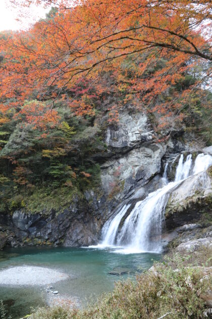 2025年】瀬戸川渓谷の紅葉見頃レポート|高知県土佐町の隠れた紅葉名所